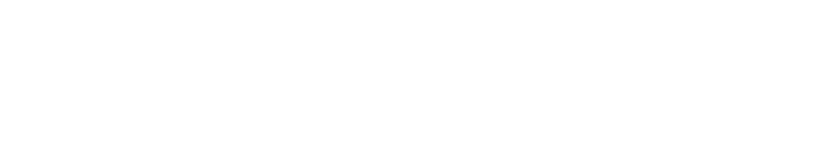 Envirolaser 3D